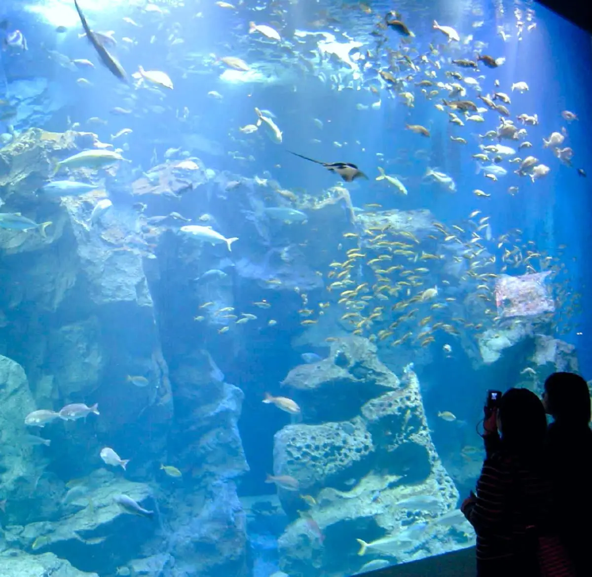 水族館