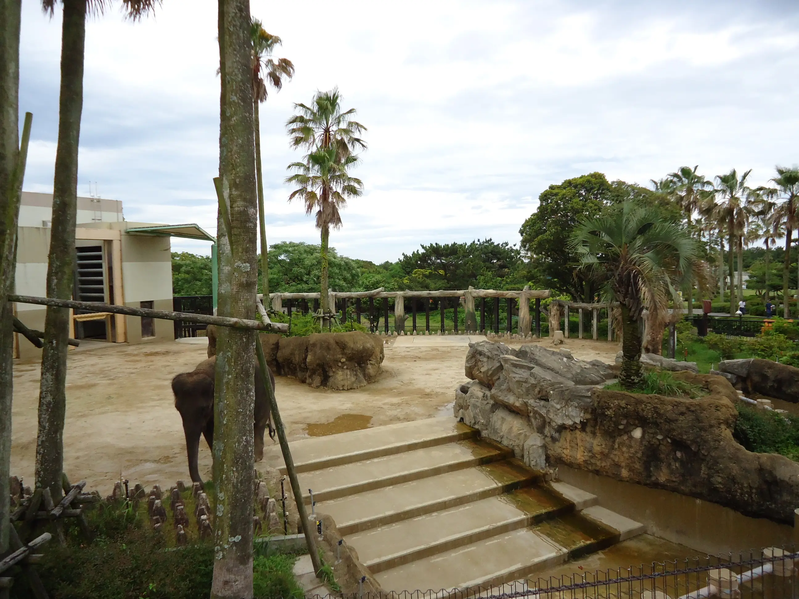 フェニックス自然動物園　ゾウ舎