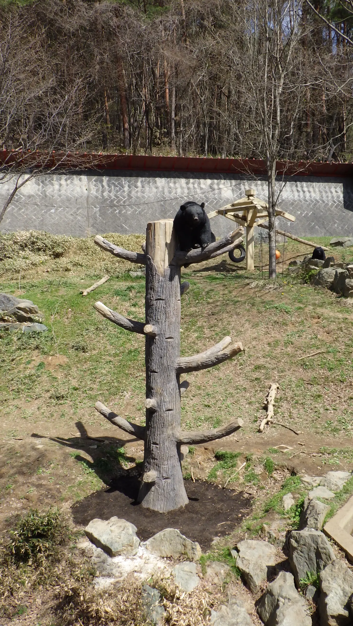 盛岡市動物公園　ツキノワグマ舎