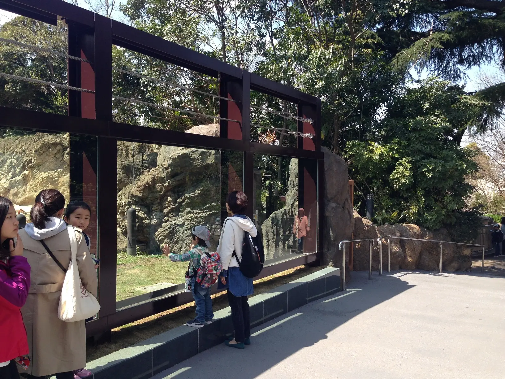 上野動物園　アジアゾウ脱出防止対策