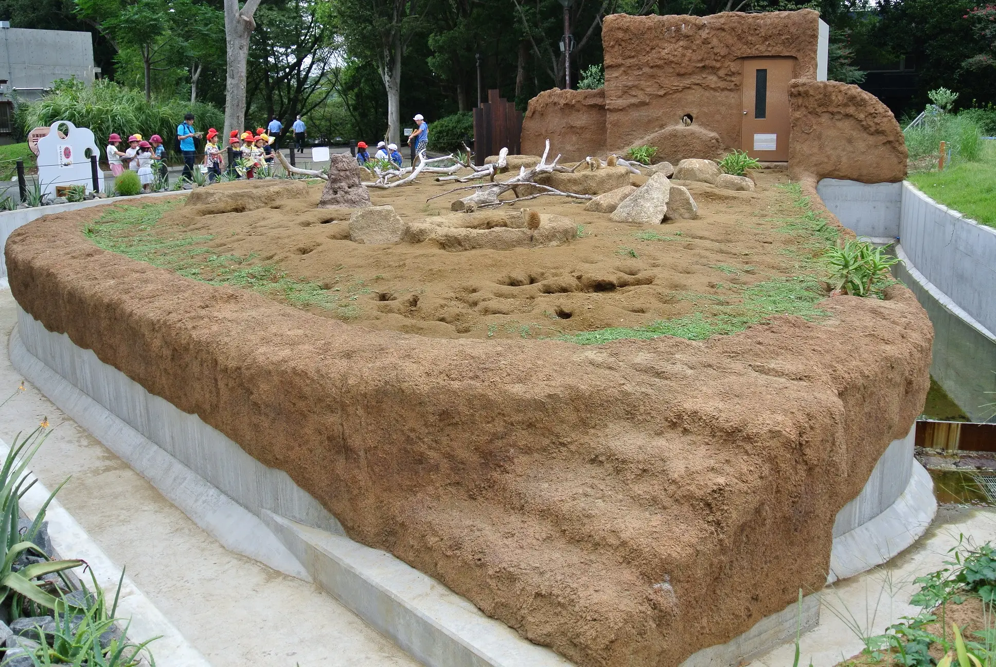 千葉市動物公園　ミーアキャット舎