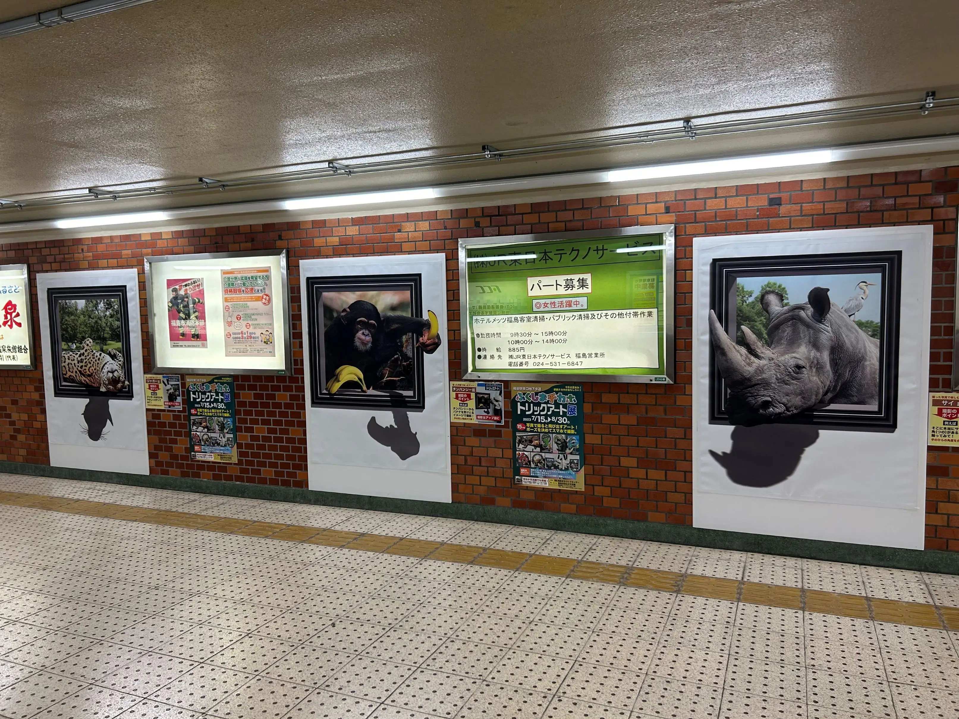 ふくしまチカホ　トリックアート展