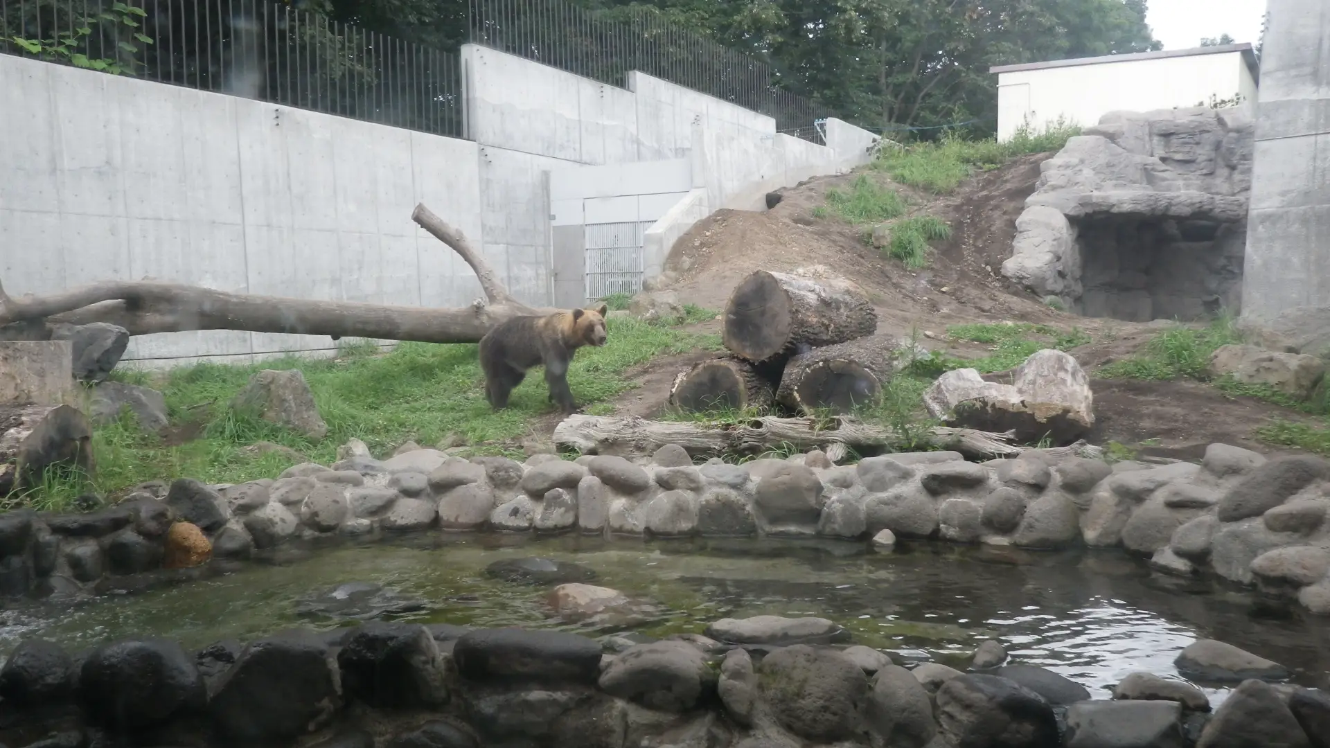 円山動物園　エゾヒグマ館