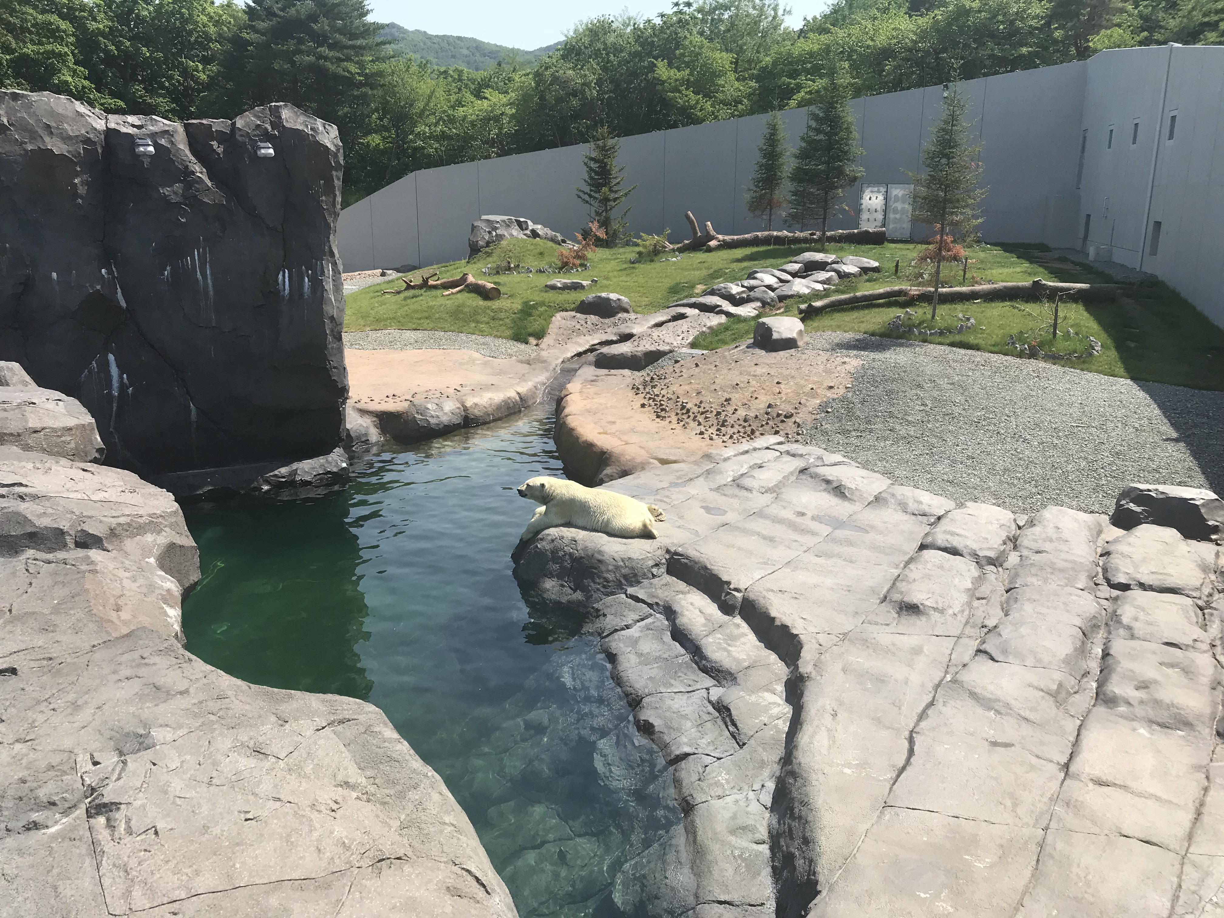 円山動物公園　ホッキョクグマ館