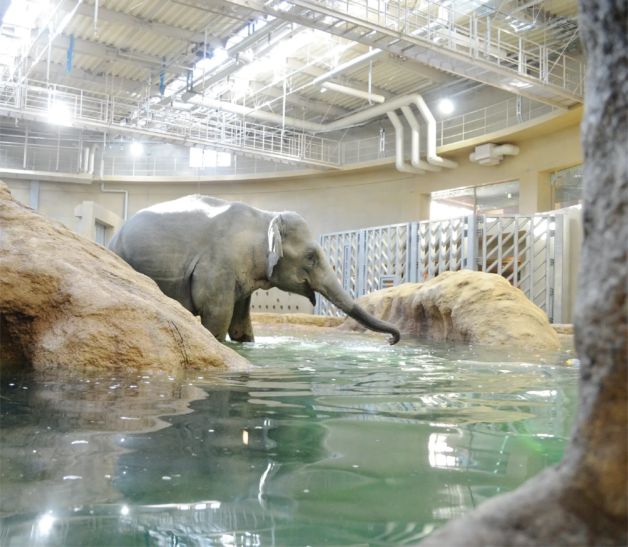 ロッキーステージ／動物園