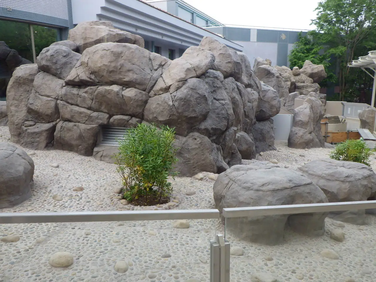 新潟市水族館　マリンピア日本海　ペンギン