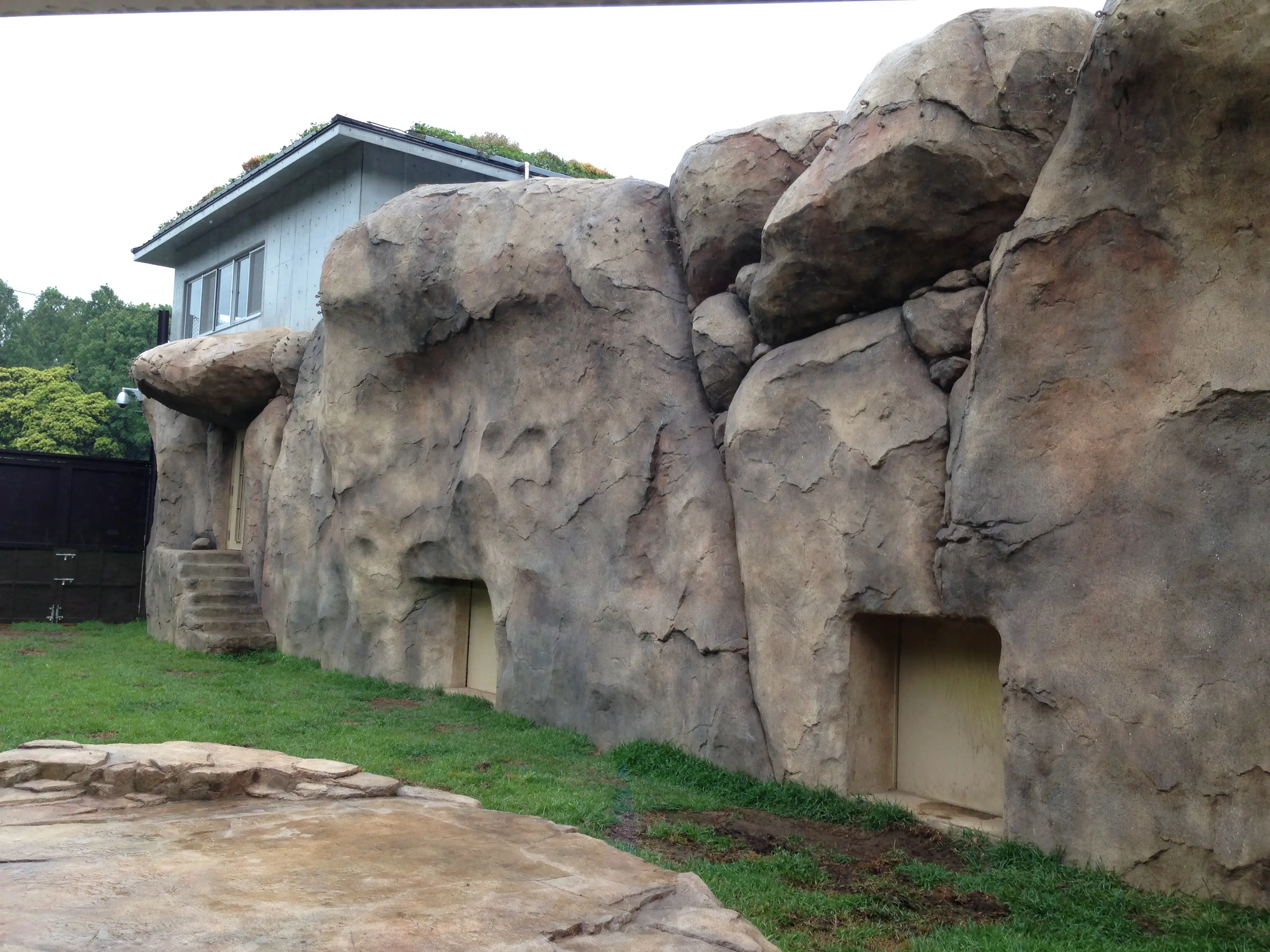 千葉市動物公園　ライオン舎