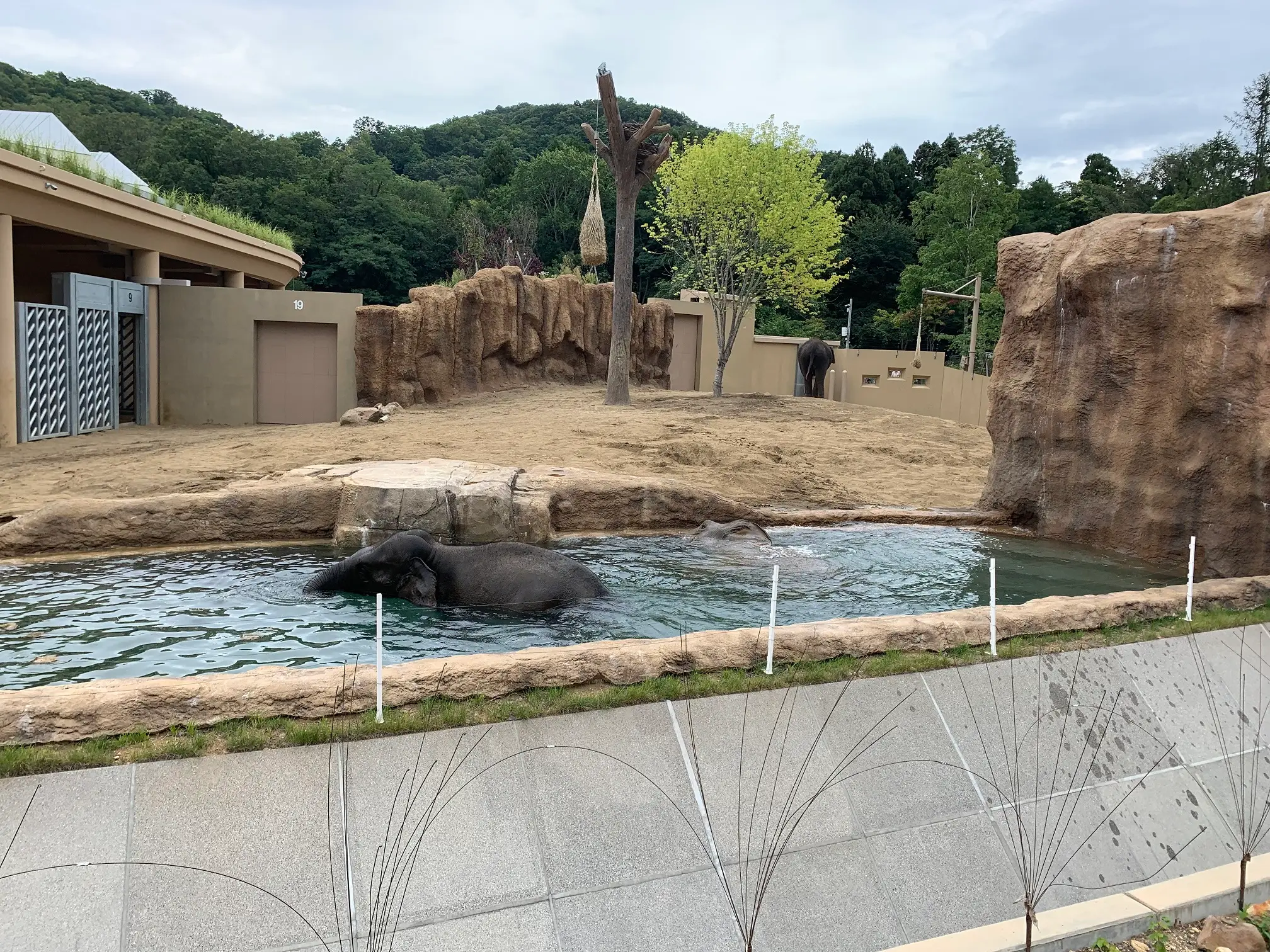 円山動物園　ゾウ舎