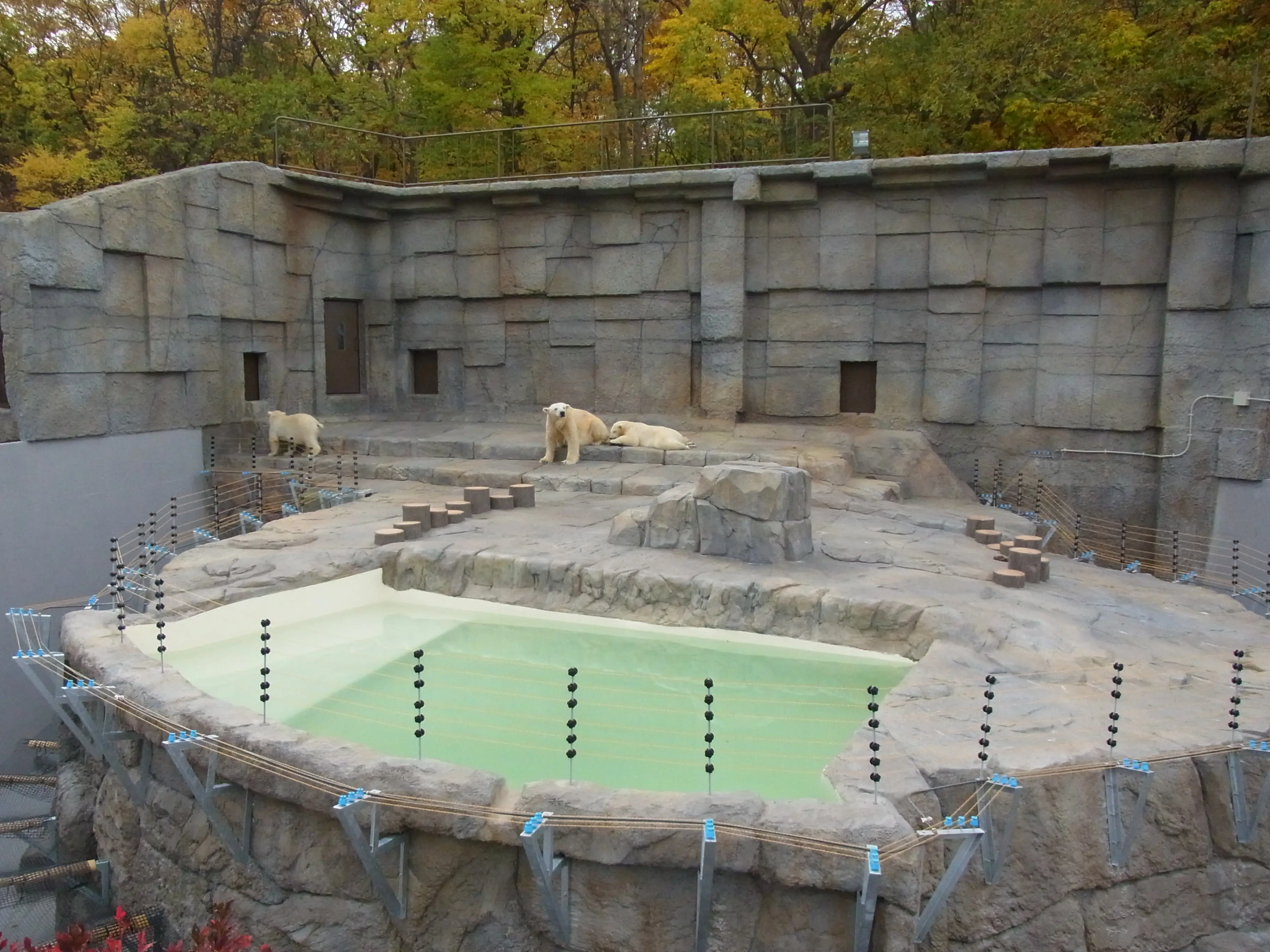 円山動物園　世界の熊館