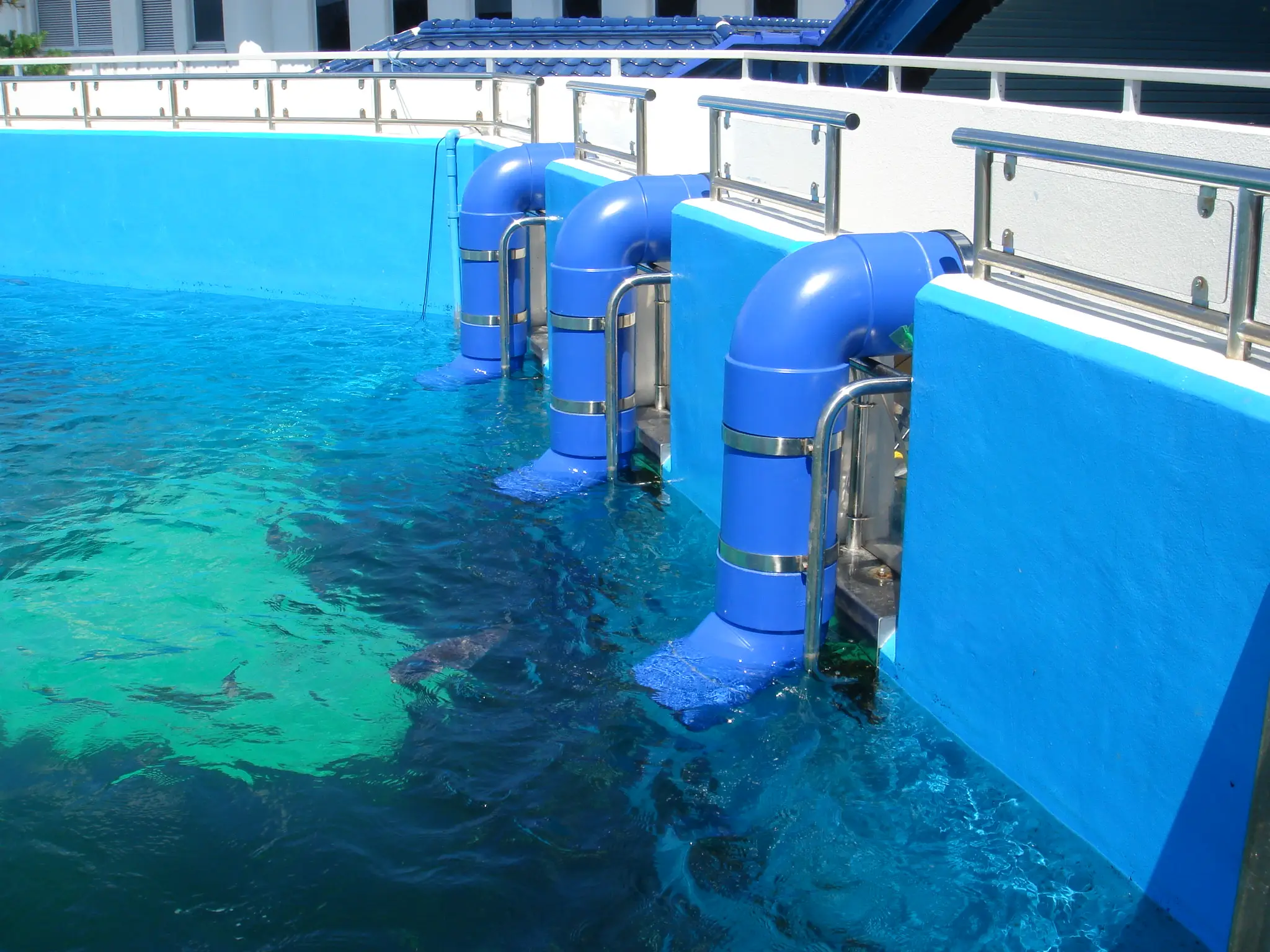 潜望鏡(のどじま水族館)