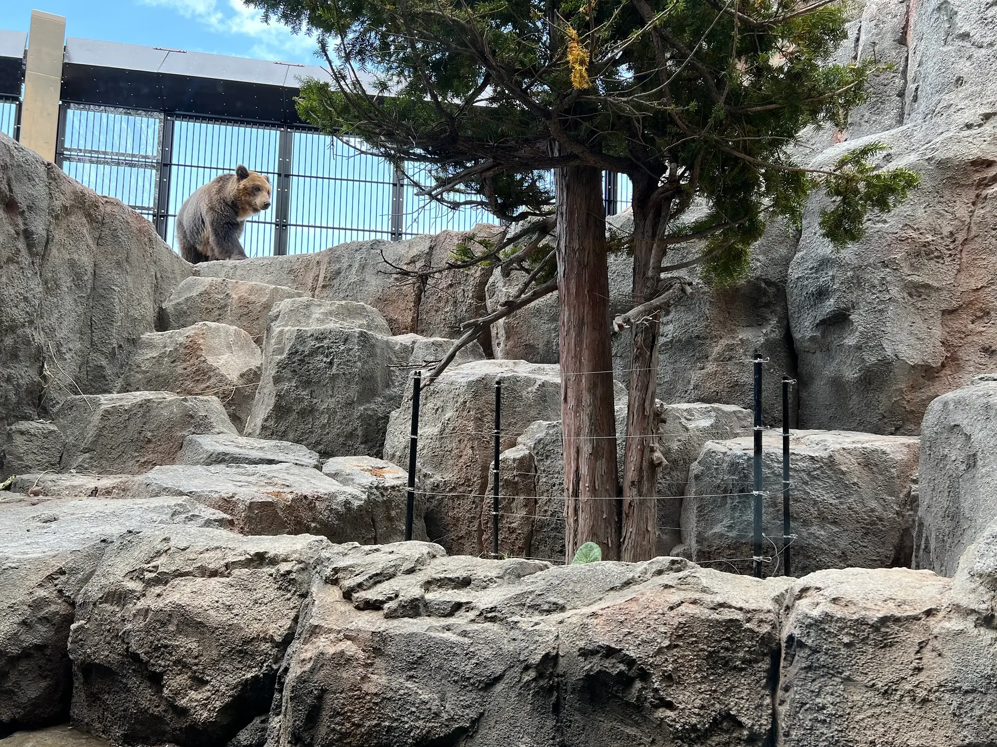 旭山動物園　えぞひぐま館